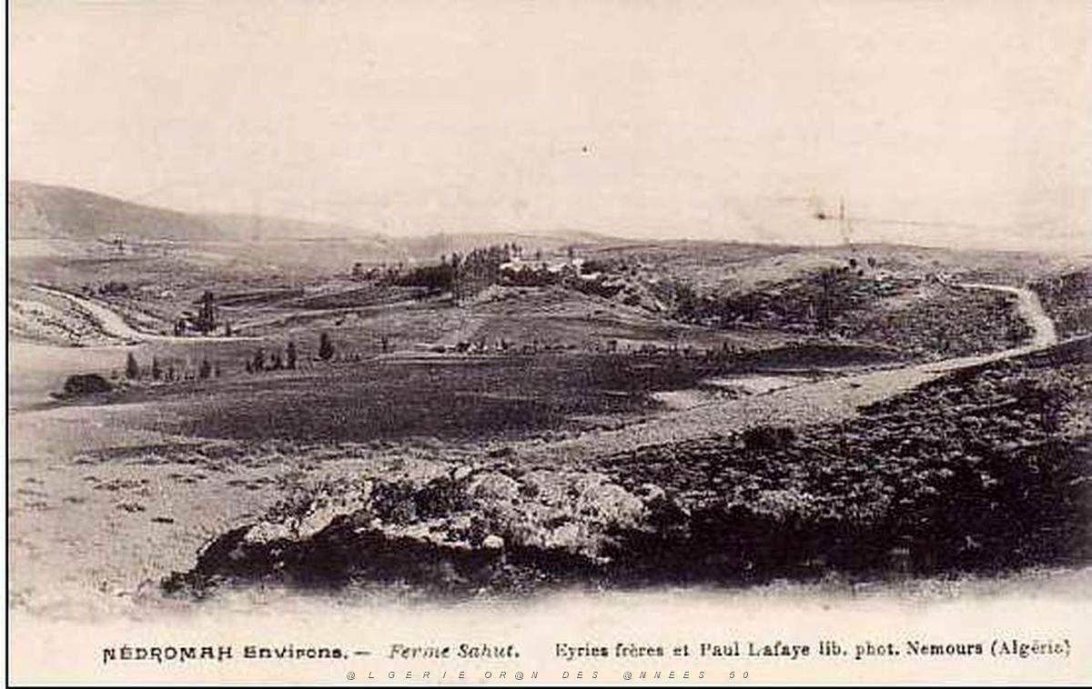 Nedroma 03.jpg